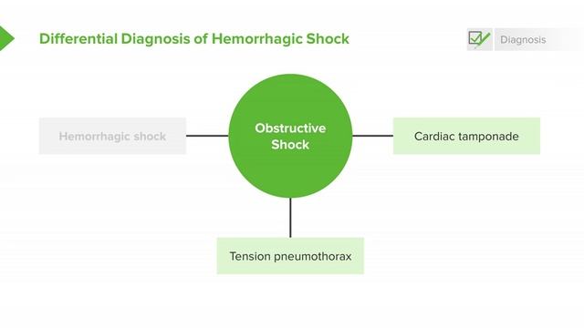 2.07 Hemorrhagic Shock- Locate The Blood & Perform E-FAST Exam