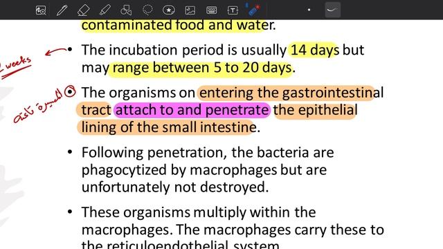 Microbiology: Salmonella part 1 смотреть онлайн