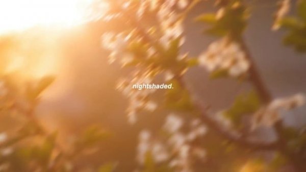 Lana Del Rey - Summertime Sadness (Slowed and Reverb)