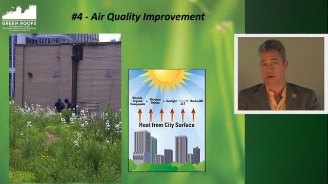 Keynote Address by Steven Peck: 12 Reasons to Invest in Green Roofs смотреть онлайн