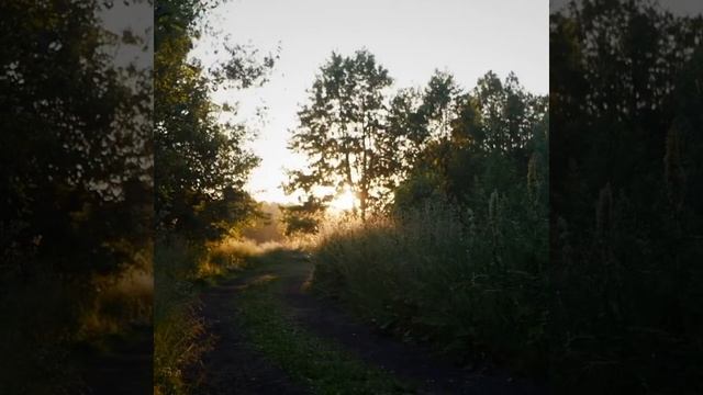 Кометы песня. (Харлей) смотреть онлайн