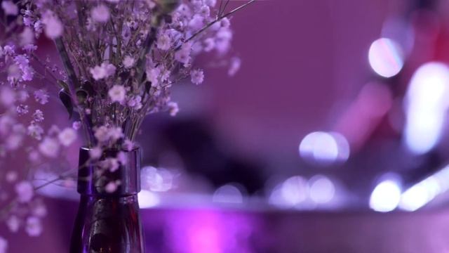 Wedding film Marcy and Kevin - Curaçao wedding video смотреть онлайн