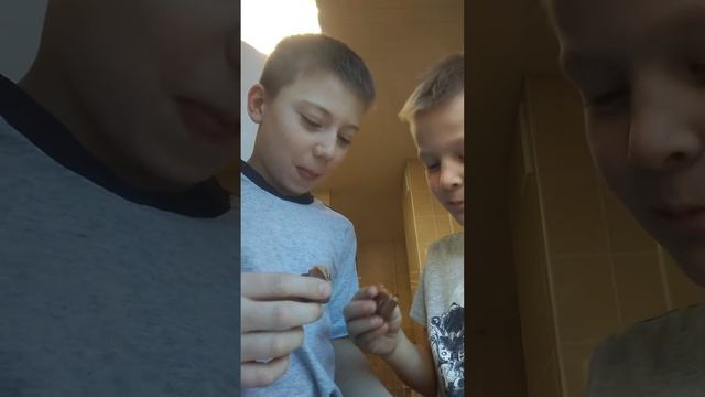 челендж милкевей vs Сникерс vs твикс vs марс смотреть онлайн