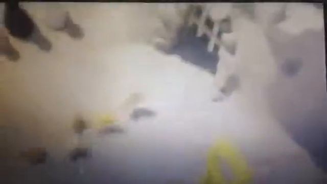 Goldfish Graham's King Neptune season 4 episode 4 смотреть онлайн