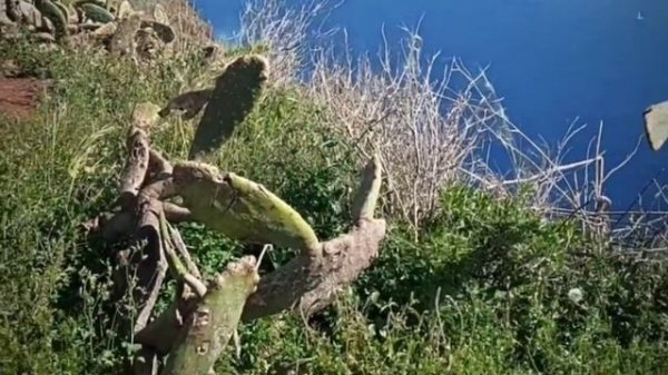 Первый Раз За 17 Лет. First Time In 17 Years