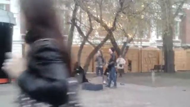 Древесные музыканты