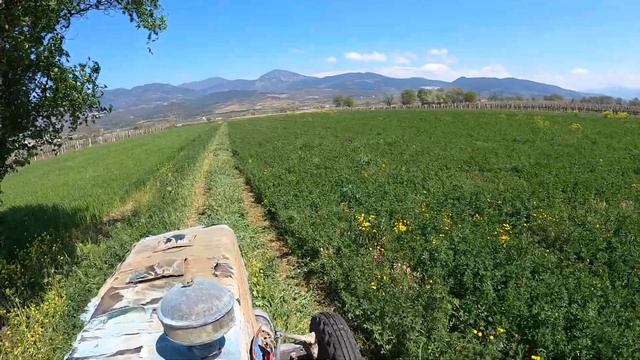 Yonca Biçimi Massey 255 + Tınaz yonca biçme [GoPro] смотреть онлайн