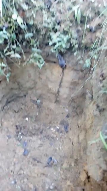 Если сильно захотеть можно в космос улететь!))))) смотреть онлайн