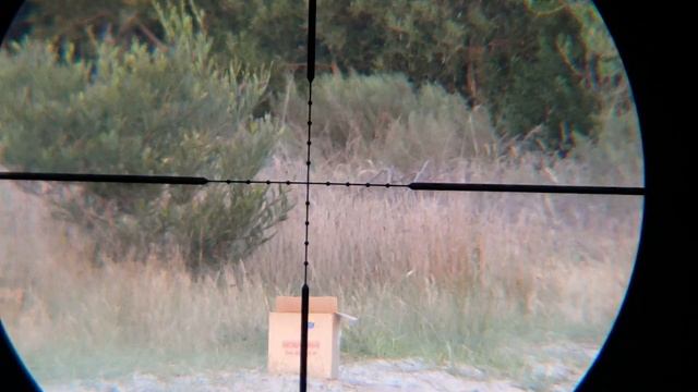 Cometa Lynx Call 6.35 100m Tapita Pcp Airgun