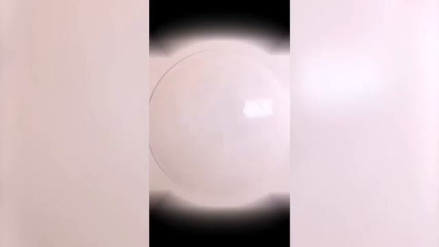 Милый😍 Енот🦝 танцует🕺 1 час🕐 под песню "Педро"🎶!!!😎😎 смотреть онлайн