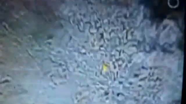 НЛО 1 DivX смотреть онлайн