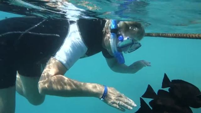 Egypt Marsa Alam 2016