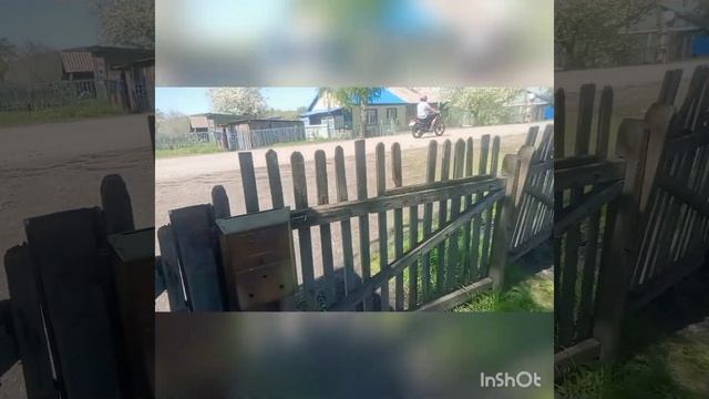 ДЕЛАЮЩИЙ ДОБРО или SAKPANOV MANSUR. ЛЮДА НЕ ПОЕДЕТ НА ЛЕЧЕНИЕ. МАНСУР ЛИКВИДИРУЕТ КОШЕК.ВОЛОДЕ ПЛОХ смотреть онлайн