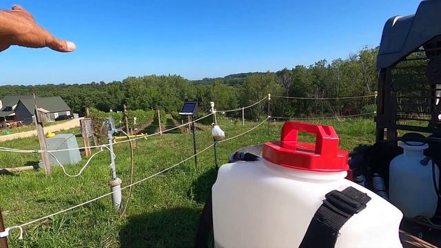 Chapin Backpack Sprayer Review [Vineyard Spray] смотреть онлайн