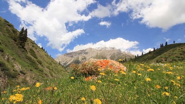 Nature. Tekes river. Kazakhstan. смотреть онлайн
