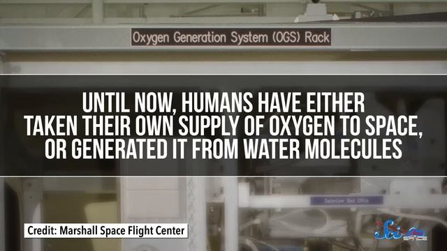 They're Calling It "The Forbidden Planet" смотреть онлайн