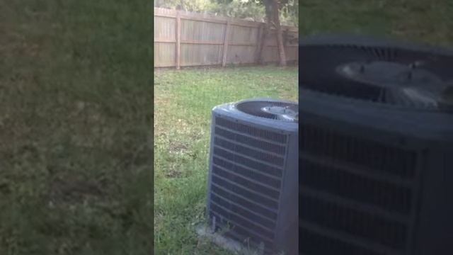 Only in Fl/Snakes in the AC смотреть онлайн