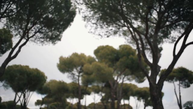 Interval Training смотреть онлайн