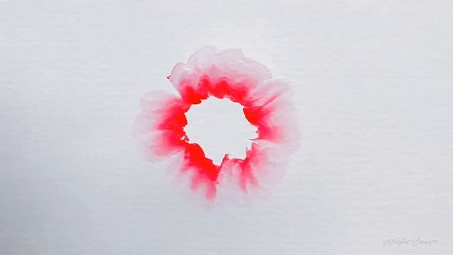 Princeton Aqua Elite Angular Shade 1/2