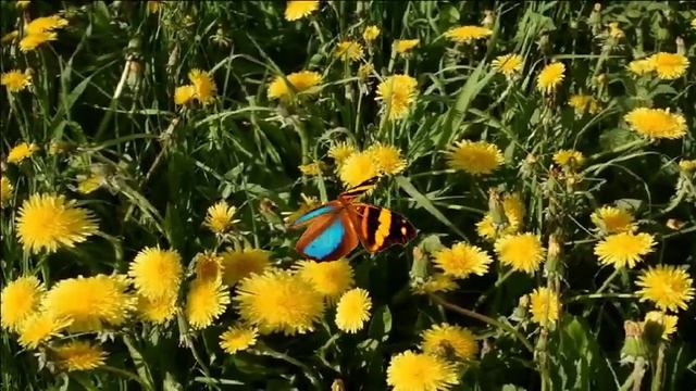 Ещё апрель -2 смотреть онлайн