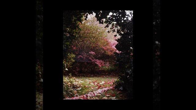 Beneath The Winds That Lash Neptune's Blue Skies Falls A Hard Rain Of Diamonds