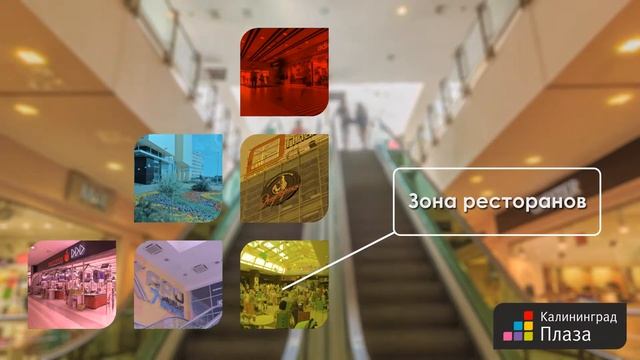 Kaliningrad Plaza смотреть онлайн