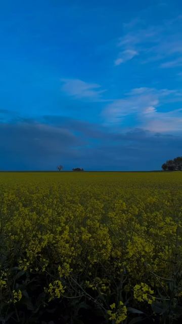 Сейчас бы лето😍