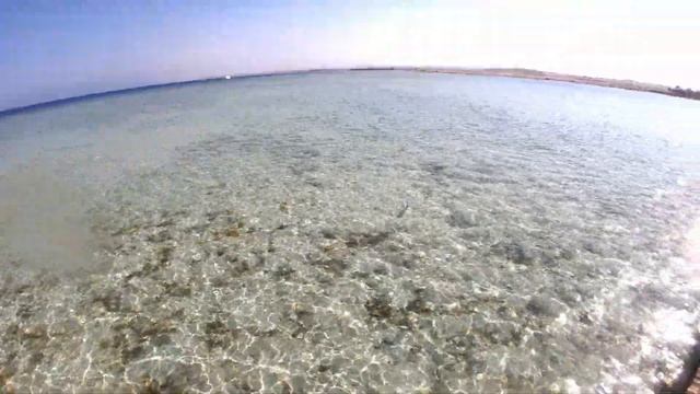 Hotel Royal Tulip , Marsa Alam diving | 4k 60 fps смотреть онлайн