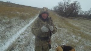 Охота  на зайца и лисицу. Первый снег сезона 24_25