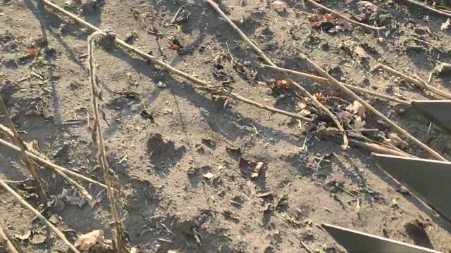 Комбайн NEW John Deere S770i и жатка NEW MORESIL GBE 900 небольшой обход в поле смотреть онлайн