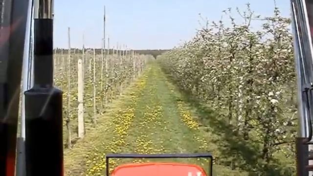 pryskanie sadu BAB Duoprop + Arag Bravo 180 + Ursus C-360 смотреть онлайн