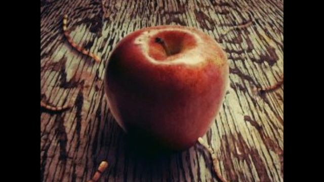 Silver Loves Mercury - D.M.T.U. Girl смотреть онлайн