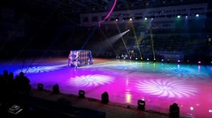 Бременские музыканты. Ледовое шоу