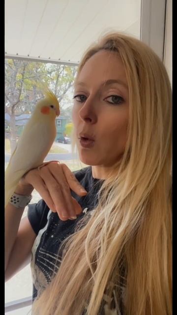 My cockatiel loves the song La Raspa! #whistling #cockatiel #fyp смотреть онлайн