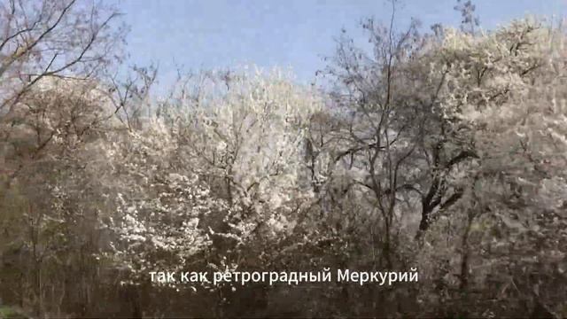 Весы. Гороскоп на неделю с 08 апреля по 14 апреля 2024 года. смотреть онлайн