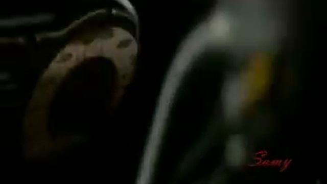 новолуние каламбия точно такого не представит