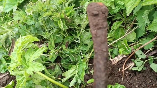 металлокоп на дальняке железо есть смотреть онлайн