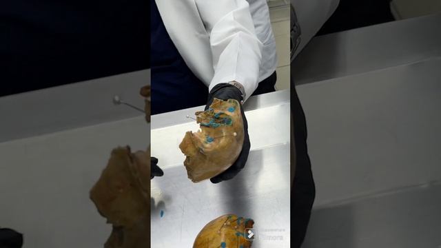 #filmora #filmoramobile -2024-06-02 17:49:00 смотреть онлайн