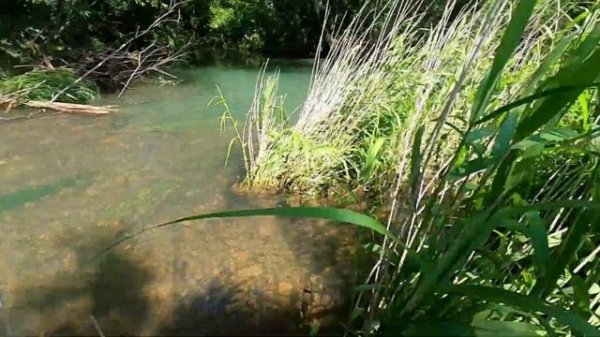 Ловля Пеструшки на Малой Горной Реке.