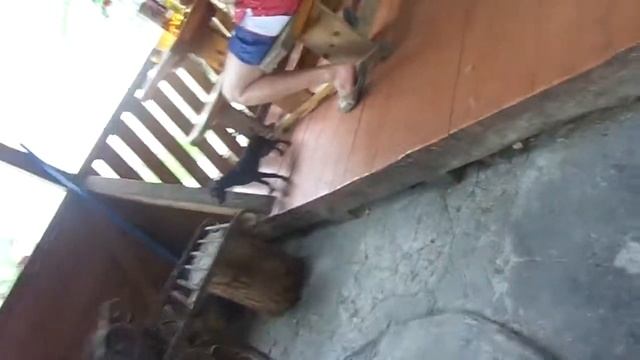 24 часа в селе челлендж! **юбилейный выпуск** смотреть онлайн