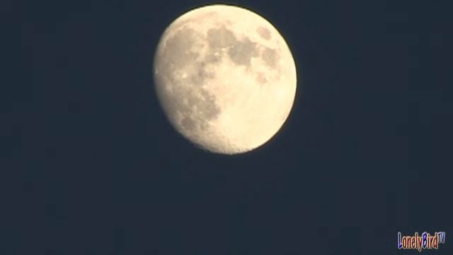 The Moon On September 16 2013 смотреть онлайн