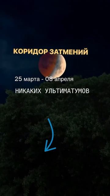 Описание в комментарии #астролог #коридорзатмений #астрология #гороскоп