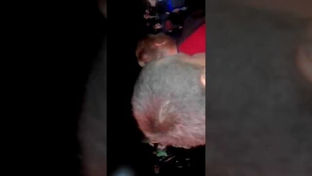 Крем Фест...... смотреть онлайн
