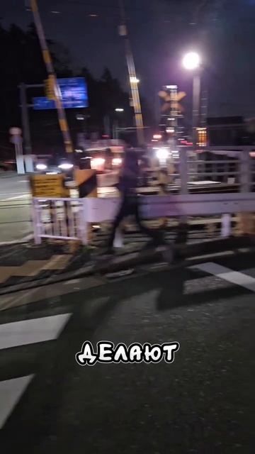 Засада полицейских в Японии... смотреть онлайн