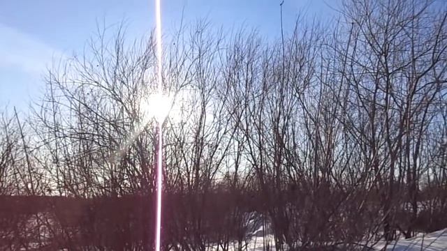 Холодный мартовский день. А природа так ждала тепла...Зарисовка.