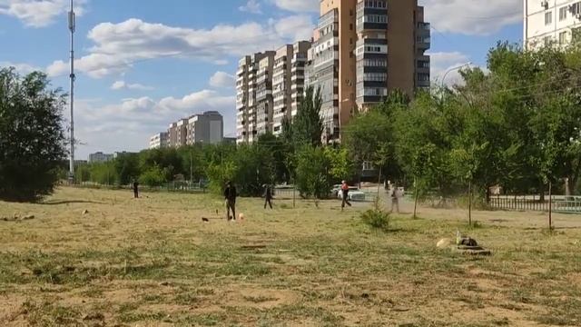 Косят землю. Волжский 20.07.22 смотреть онлайн