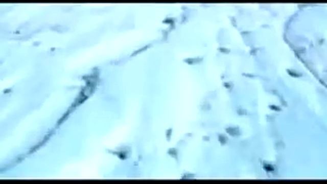 30 Seconds To Mars A Beautiful Lie Video.flv