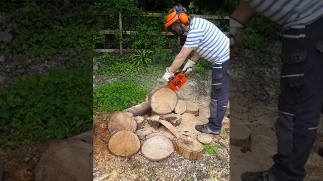 Echo CS-302 Vintage Classic 30cc Chainsaw. Starting and running and cutting. смотреть онлайн