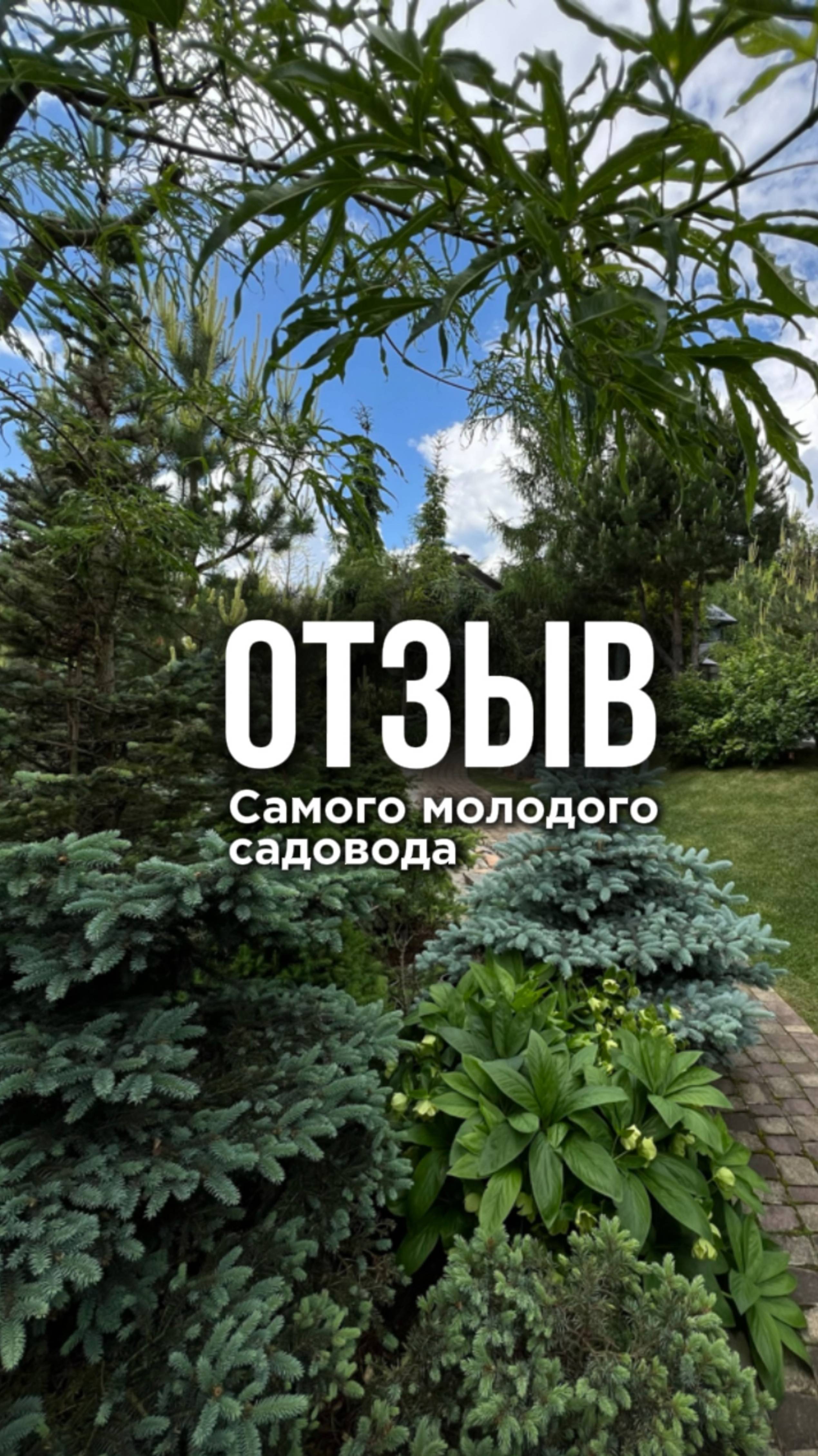 Ваши отзывы❤️ смотреть онлайн