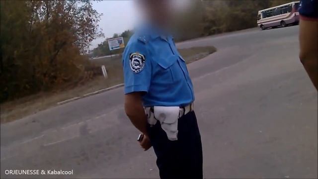 ЗОО ГАИ Луганск порча зеленых насаждений смотреть онлайн
